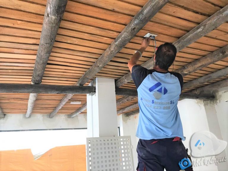 Fases intermedias (4)